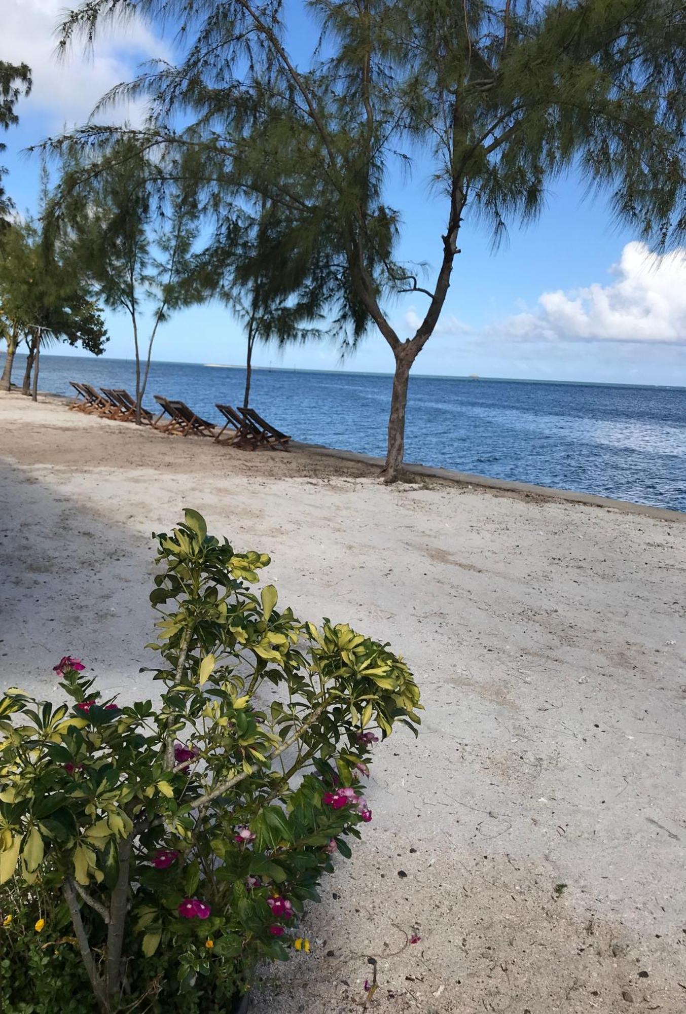 Bon Vivant Front De Mer - Ile Rodrigues พอร์ตมาตูริน ภายนอก รูปภาพ